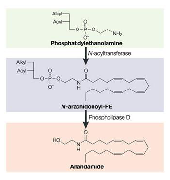 chemschemes.png